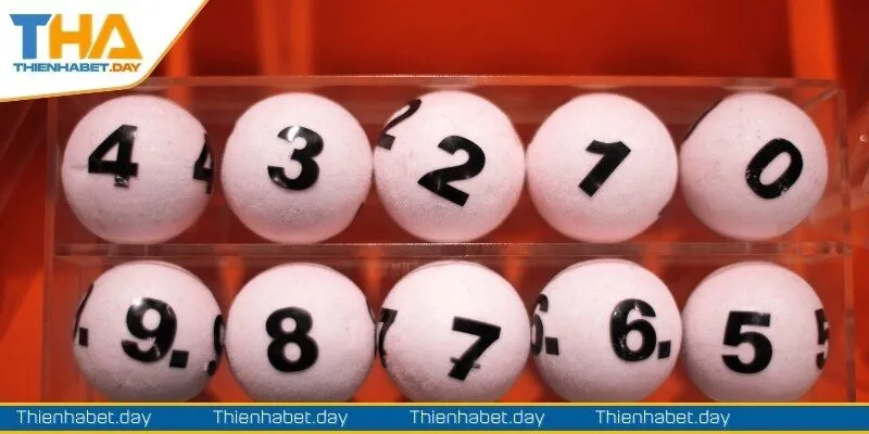 Bật mí kinh nghiệm soi cầu song thủ đề cho người mới 