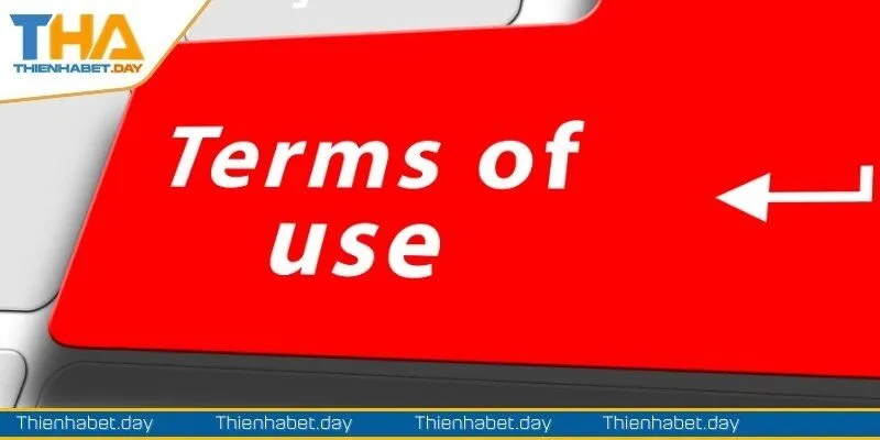 Câu hỏi liên quan quy định sử dụng của nền tảng