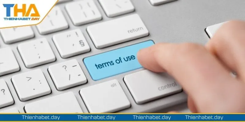 Đánh giá sự quan trọng điều khoản sử dụng