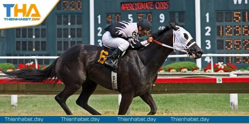 Kinh nghiệm bất bại khi tham gia cá cược